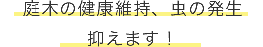庭木の健康維持、虫の発生 抑えます!
