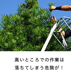 高いところでの作業は 落ちてしまう危険が!